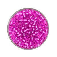 Rocailles silbereinzug fuchsia
