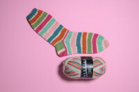 Trekking XXL color 831