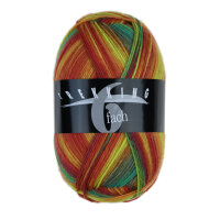 Trekking 6-fach color 2006