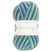 WYS Signature 4-fach - blue Lagoon