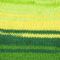 WYS Signature 4-fach - Spring Green