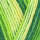 WYS Signature 4-fach - Spring Green