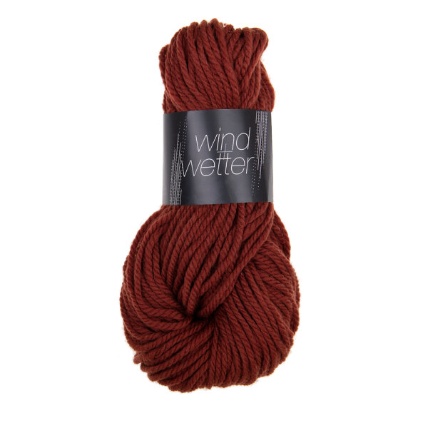 Wind &amp Wetter 9571