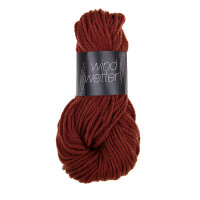 Wind & Wetter 9571