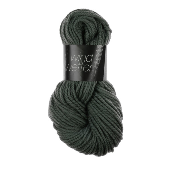 Wind &amp Wetter 9558