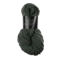 Wind & Wetter 9558