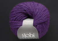 Gobi 16