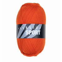 Trekking sport 1510