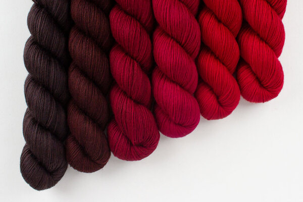 Birdie Casablanca Lace