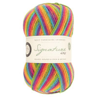 WYS Signature 4-fach - Rum Paradise