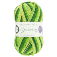 WYS Signature 4-fach - Spring Green